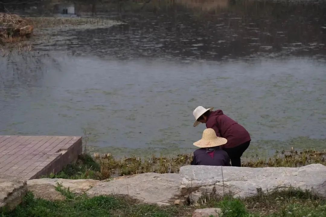 DƬ